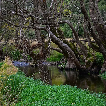 Muntenia And 3* Kalawrita