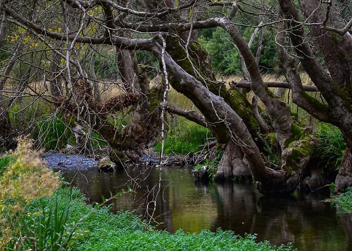 Muntenia And 3* Kalavryta